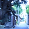 hp_yanaka_15.jpg